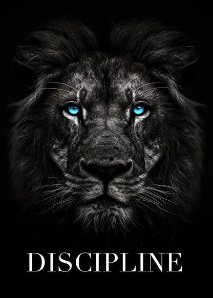 Poster Discipline | Focus et Détermination