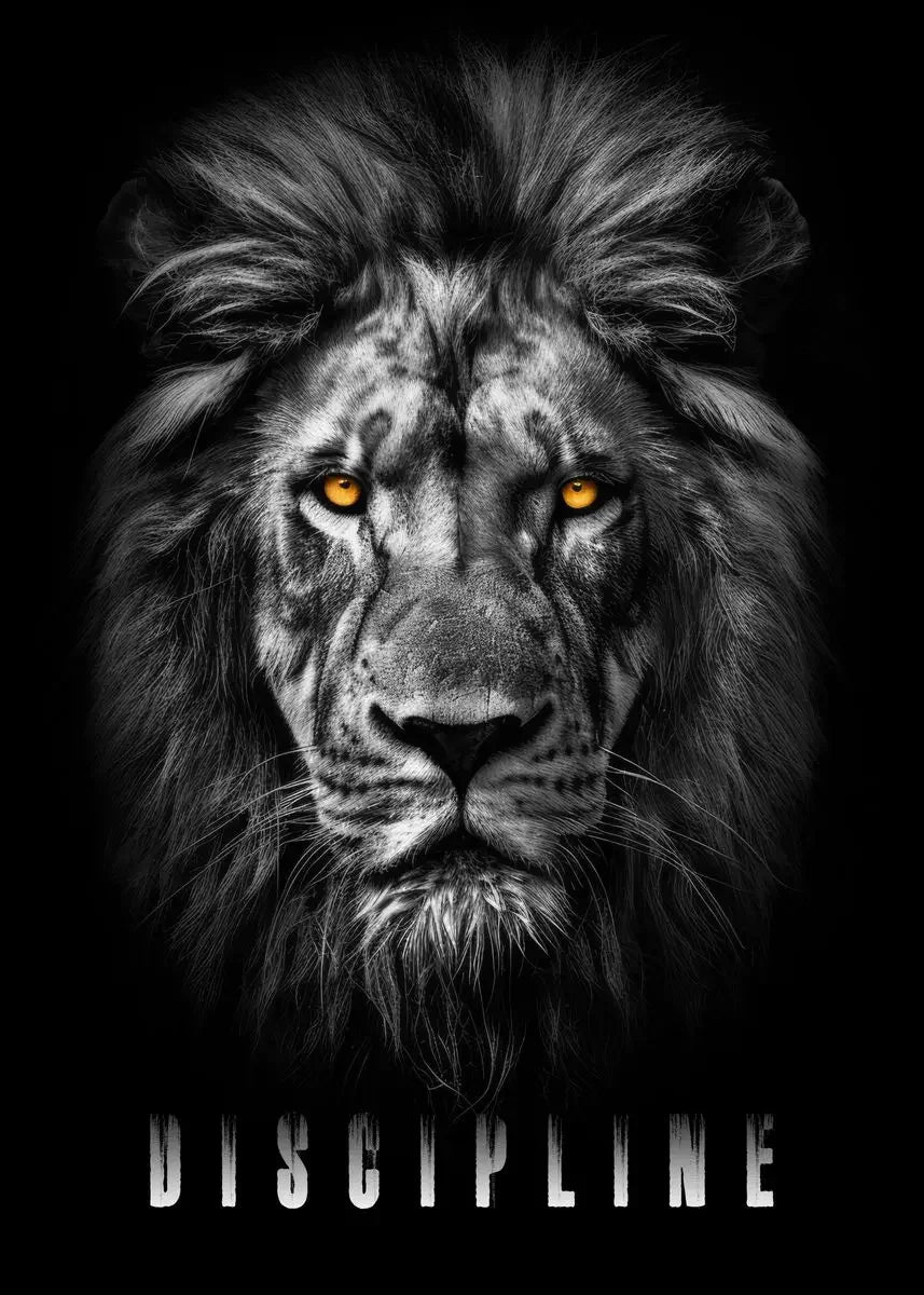 Poster Discipline | Focus et Détermination